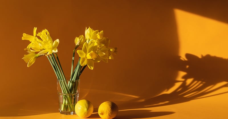 Isolation thermique : les solutions efficaces pour une maison économe