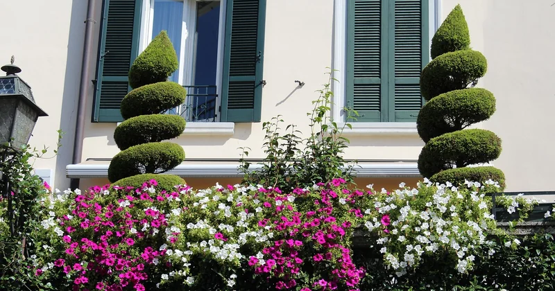 Le calendrier des floraisons, mois par mois